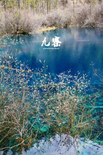 救援卡通小象